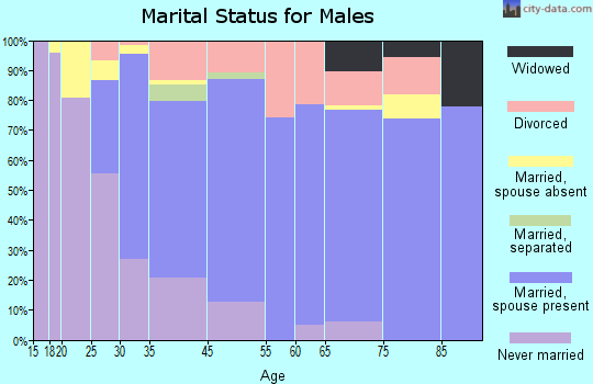 Vashon marital status for males
