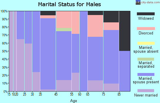Addison (Webster Springs) marital status for males