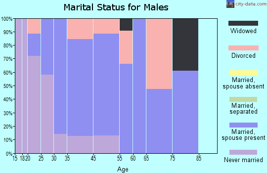 Alum Creek marital status for males