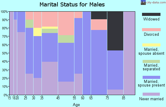 Bath (Berkeley Springs) marital status for males