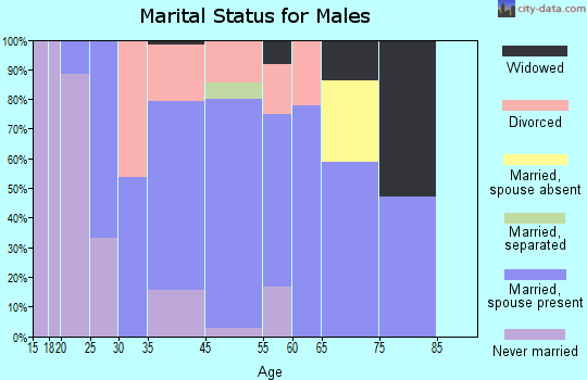 Beech Bottom marital status for males