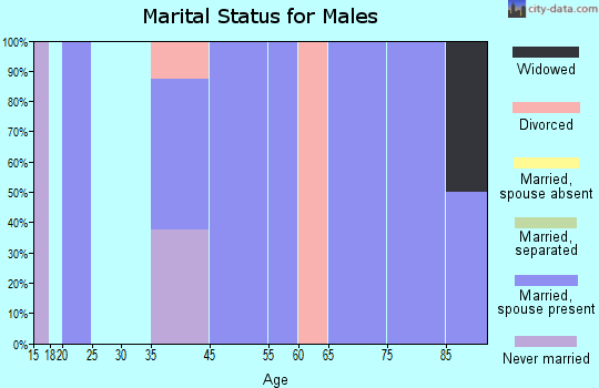 Brandonville marital status for males