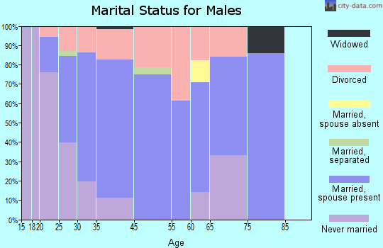 Brookhaven marital status for males