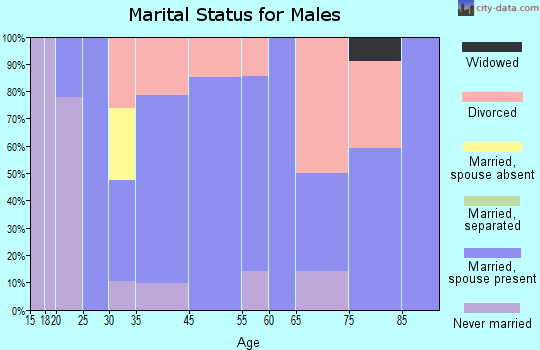 Burnsville marital status for males