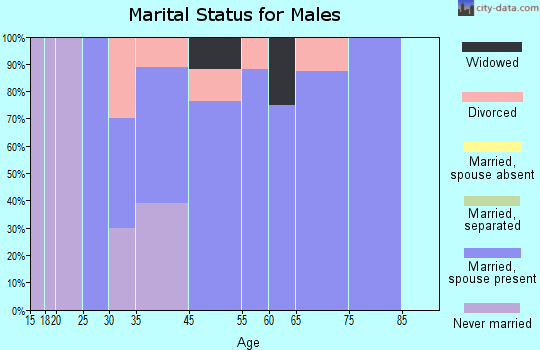Cairo marital status for males