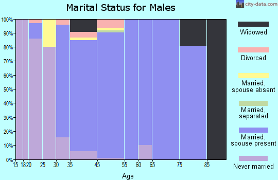 Chattaroy marital status for males