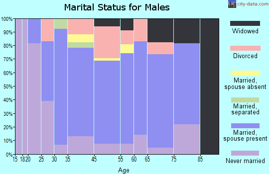 Chester marital status for males
