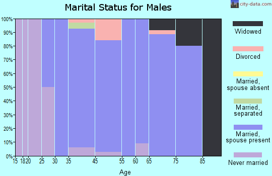 Clearview marital status for males