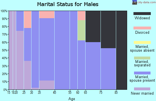 Coal City marital status for males