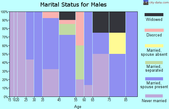 Ellenboro marital status for males