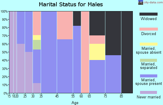 Farmington marital status for males
