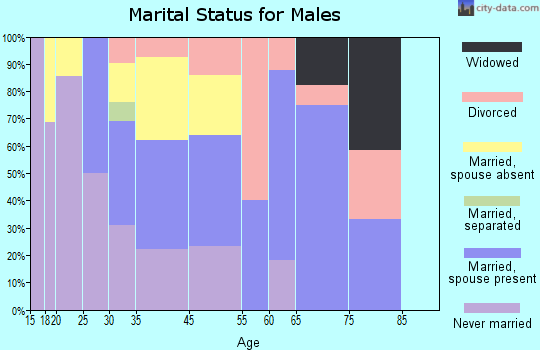 Riverdale Park marital status for males