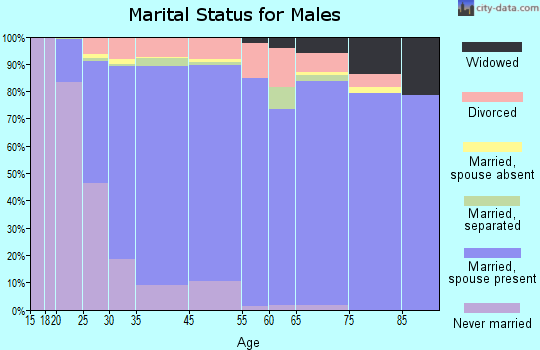 Rocklin marital status for males