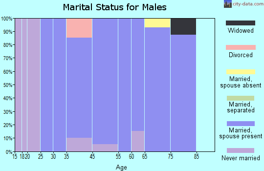 Hendricks marital status for males
