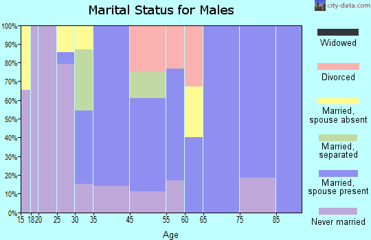 Logan marital status for males