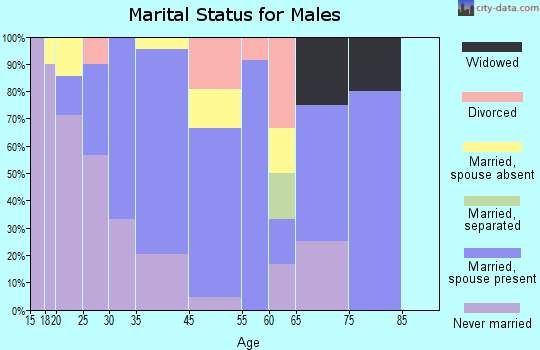 Lost Creek marital status for males