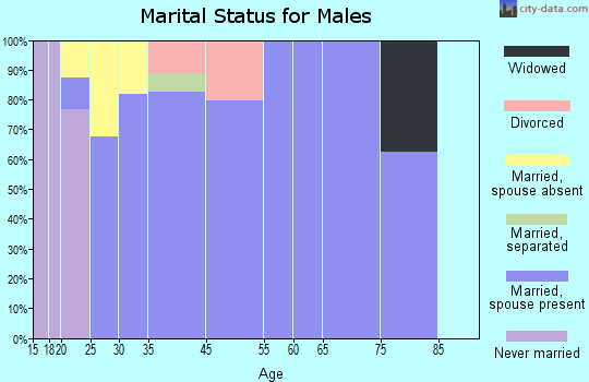 Mineralwells marital status for males