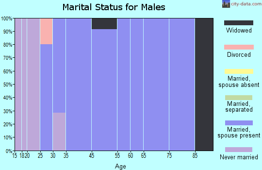 Mitchell Heights marital status for males