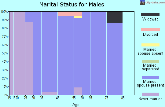 North Hills marital status for males
