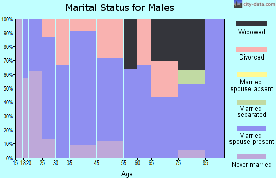 Peterstown marital status for males
