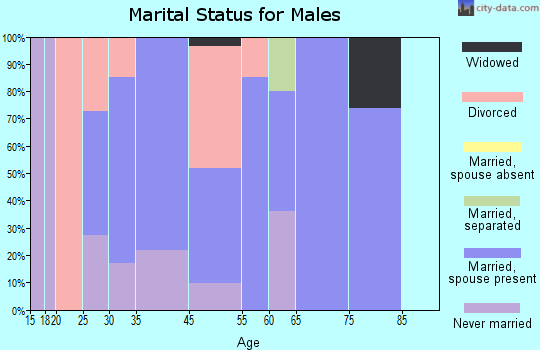 Piney View marital status for males