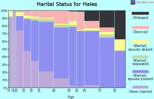 Rosemont marital status for males
