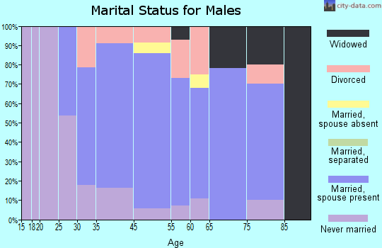 Rivesville marital status for males