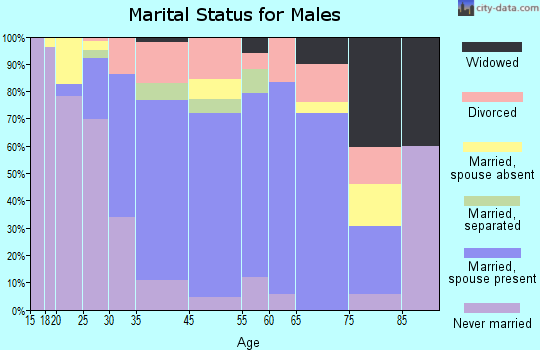 Salem marital status for males
