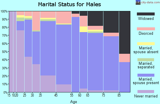 South Charleston marital status for males