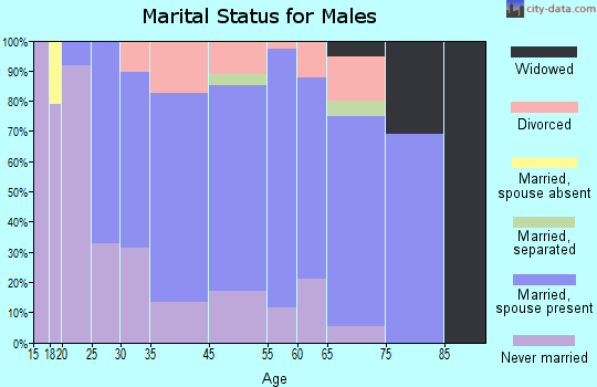 Summersville marital status for males