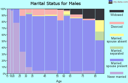 Teays Valley marital status for males