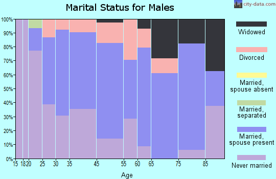 Wellsburg marital status for males