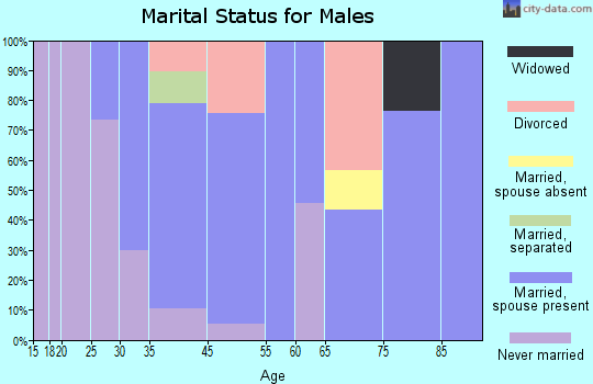 West Logan marital status for males
