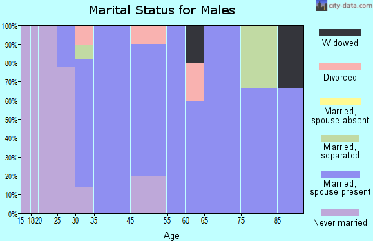 Amherst Junction marital status for males