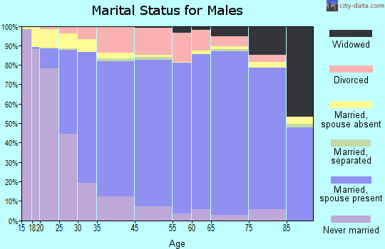 Appleton marital status for males