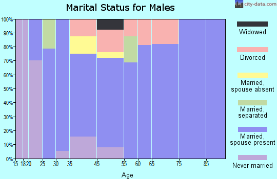 Arlington marital status for males