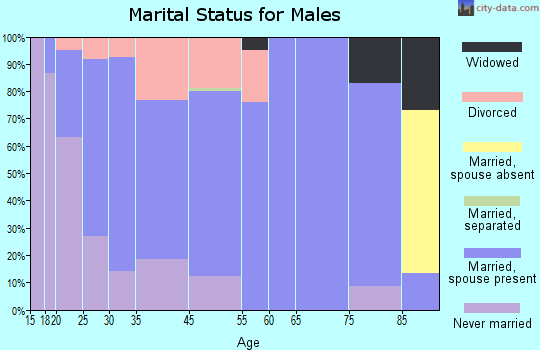 Baldwin marital status for males