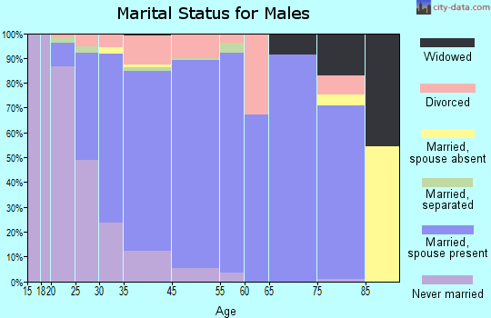 Bellevue Town marital status for males