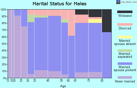 Black Earth marital status for males