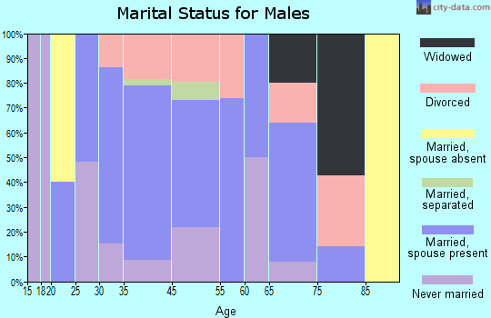 Blue Mounds marital status for males