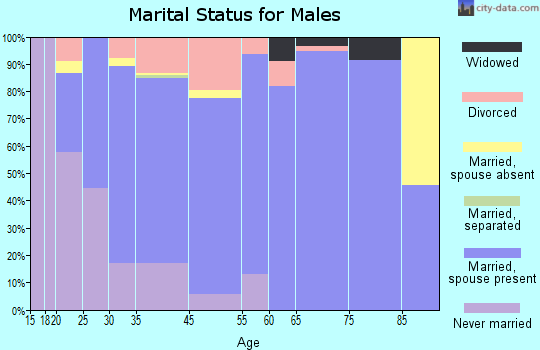 Bonduel marital status for males