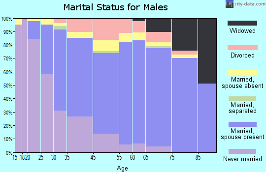 Brown Deer marital status for males