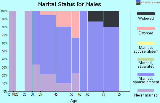 Browntown marital status for males