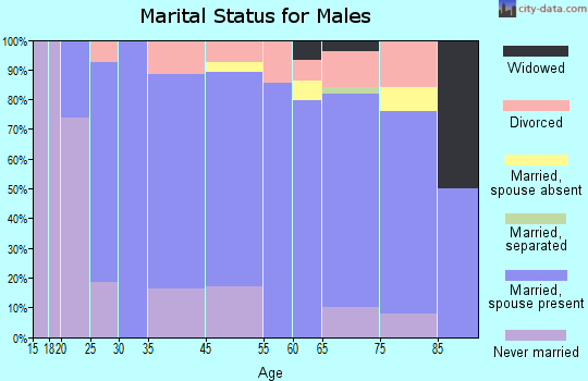 Buffalo City marital status for males