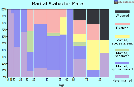 Chain O' Lakes-King marital status for males