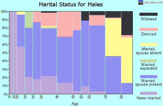 Chetek marital status for males