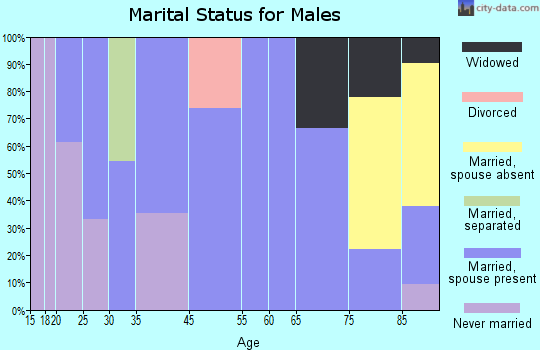 Dallas marital status for males