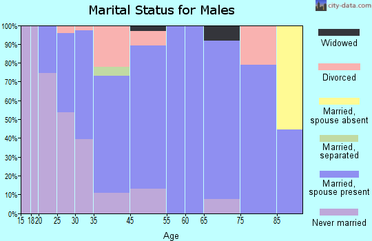 Delavan Lake marital status for males