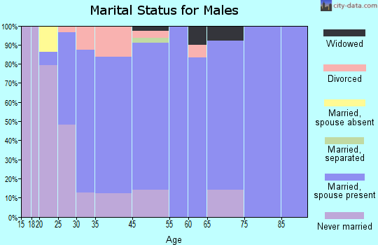 Dickeyville marital status for males