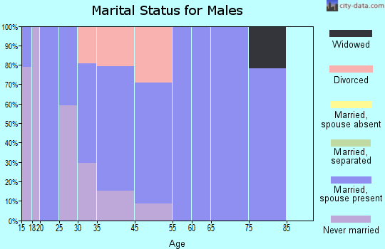 Eagle Lake marital status for males